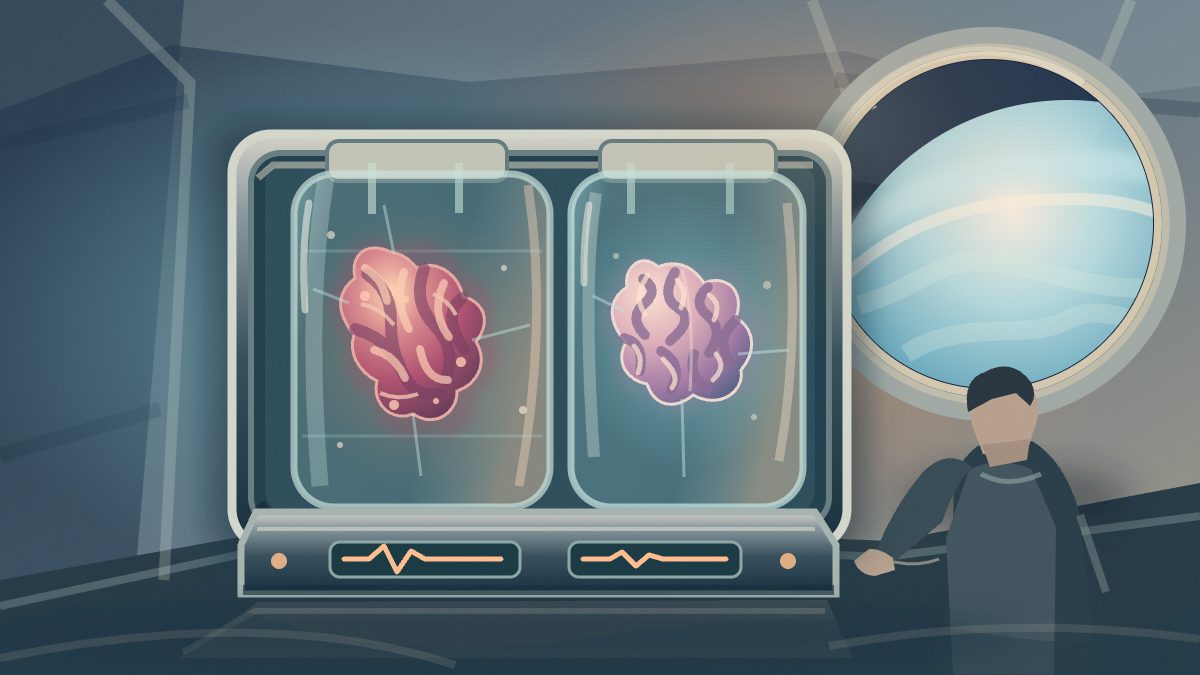 Científicos envían al espacio cerebros y corazones humanos diminutos para estudiar la vejez